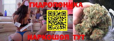 сатива Бузулук