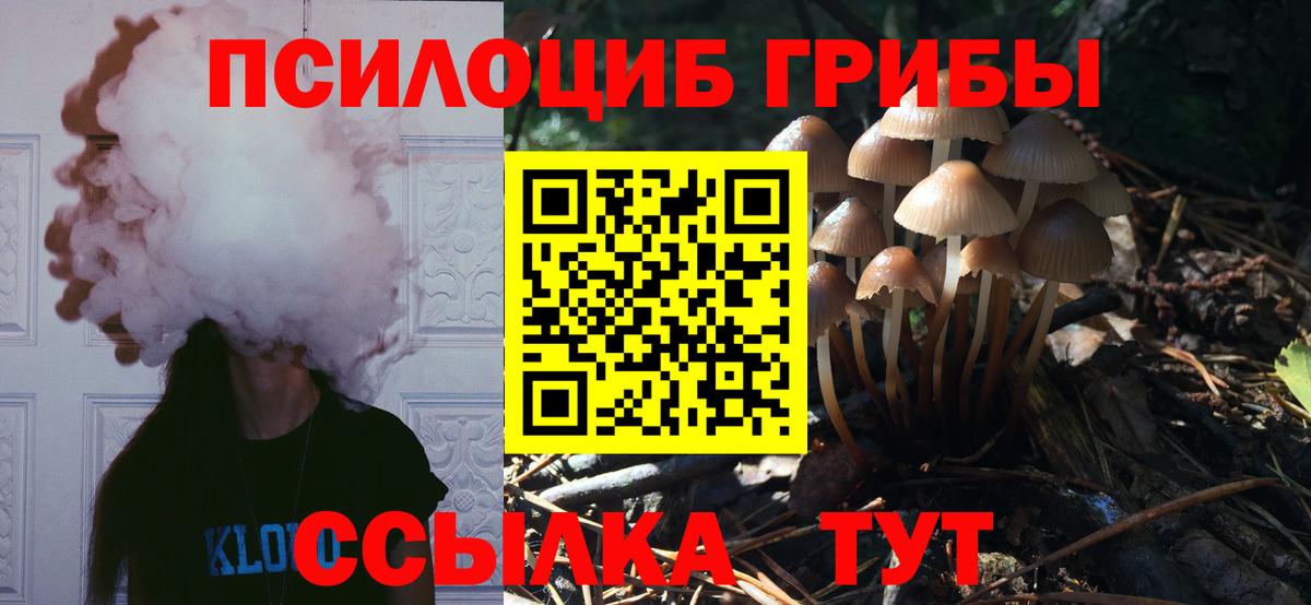 Псилоцибиновые грибы MAGIC MUSHROOMS Стерлитамак